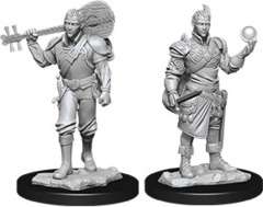 Half-Elf Bard Male (Nolzur's - W12)